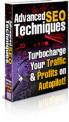 Product picture Advanced SEO Techniques  Turbocharge Your Traffic  & Profits